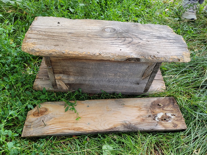 Rotted original nest box.