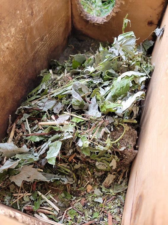 Bedding in the old box included leaves, twigs, dirt, and almost unrecognizable piece of fleece that was put in originally.
