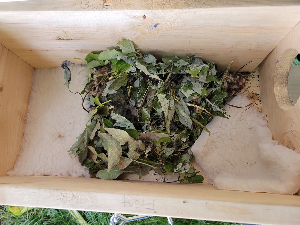 The new box with old bedding moved over along with two new pieces of fleece since we didn't know how many squirrels lived in it